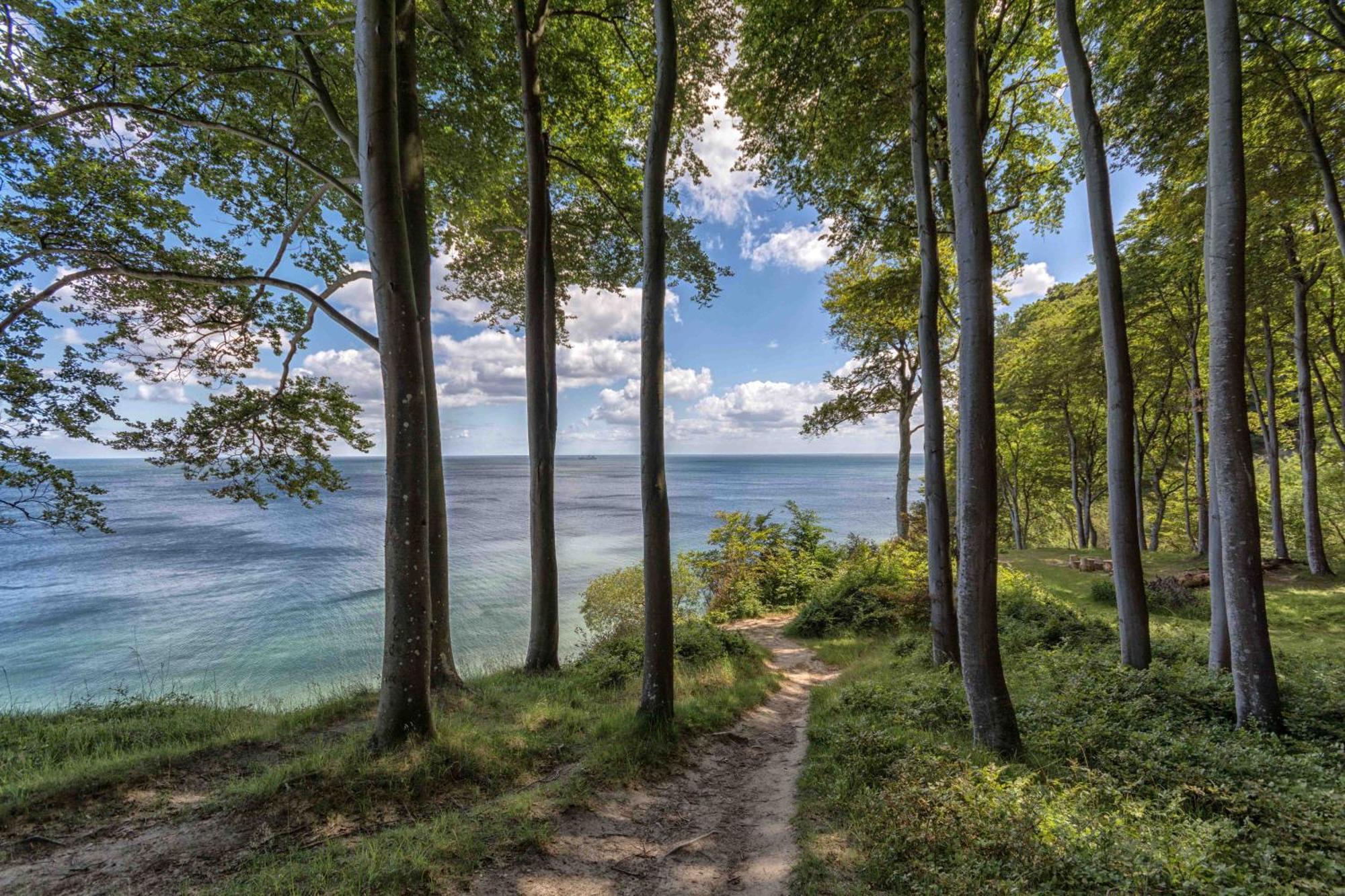 Villa Fernsicht - Wohnung Nr 1 - Mit Meerblick Sassnitz Esterno foto